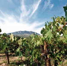 Expo 2015: una vetrina per i vini del Consorzio Vini Tipici di San Marino